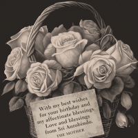 Mother Auro Birthday Blessings .jpg